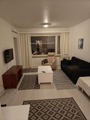 Renovated handy spacious 3 room apartment for tourists, workers and students
